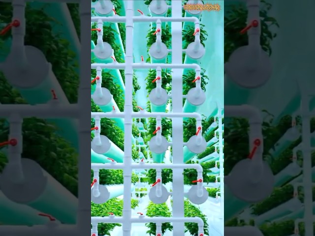 China's Sci-Fi Smart Farming Future Has Arrived #futureoffarming