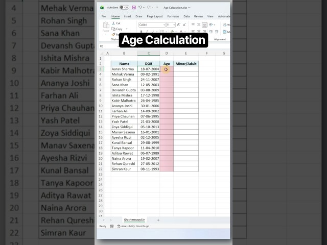 Calculate Age in Excel Automatically 😱 | DATEDIF Formula