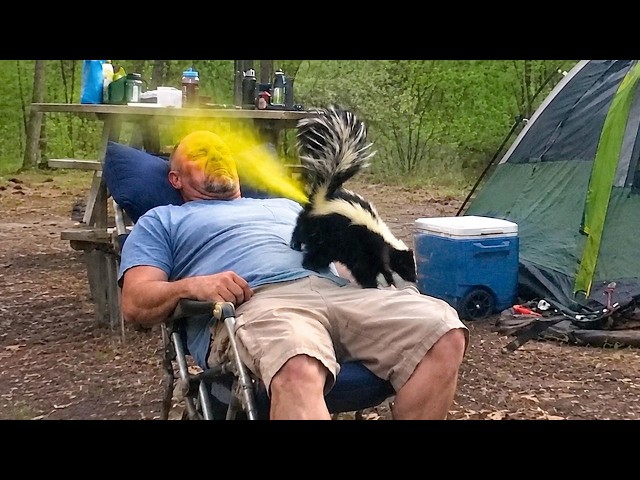200 INCREDIBLE THINGS CAUGHT ON CAMERA. BEST OF THE MONTH