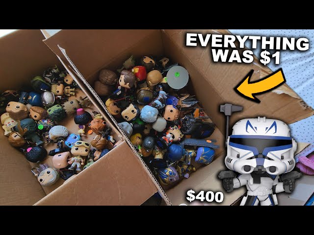 All Funko Pops Were $1 at this Garage Sale! (Rare & Grail Pops)