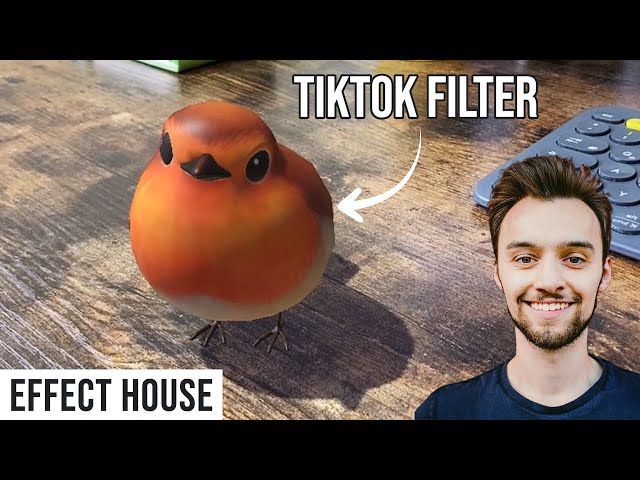 Create an AR TikTok Filter (Effect house beginners tutorial)