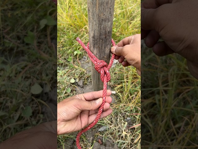 Master This Knot In Seconds