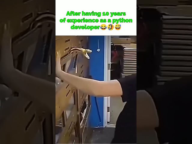 Attitude of python developer😂🤣😅#clientes #corporatememes #shorts #short
