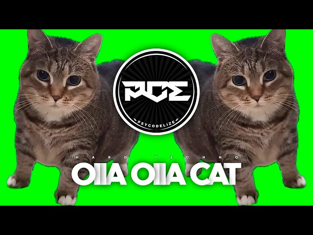 HARD TECHNO ● W&W - OIIA OIIA .Spinning Cat (NMO Remix)