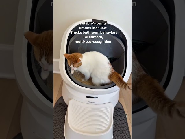 Every pet owner needs one of these! @Petlibro