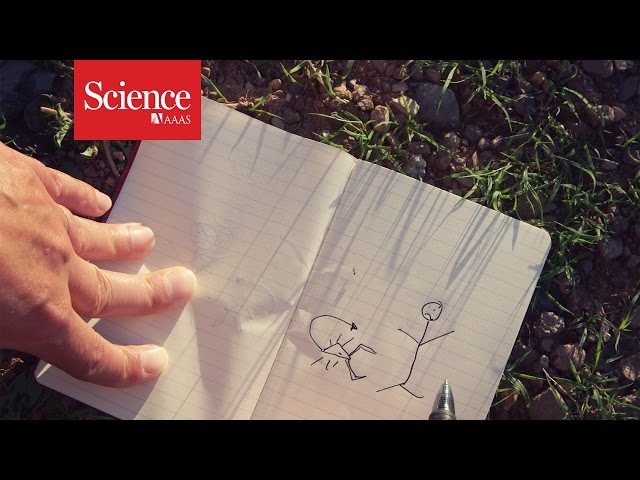 XX Files : Scorpion hunters : The way we feel pain [CLIP]