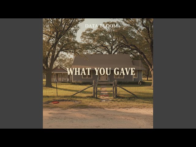 What You Gave