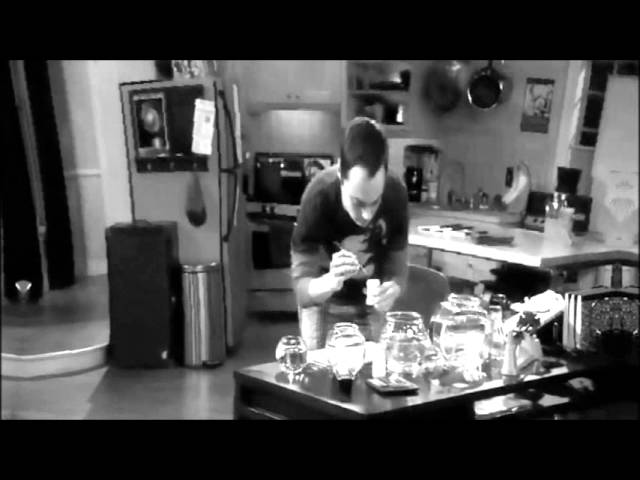 The Big Bang Theory - fish night lights