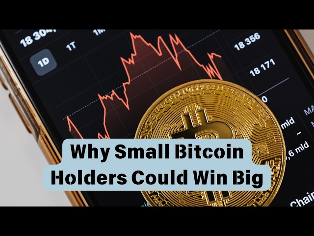 HE HIDDEN POWER OF 0.01 BTC: WHY THE SMALLEST HOLDERS COULD OUTPERFORM AFTER 2028