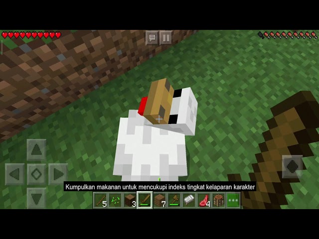 Tips Penting McPe