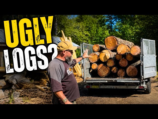 🪵DID I WASTE MY MONEY ON THESE LOGS? 🪵