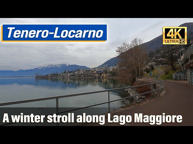 Tenero to Locarno - Winter walk at Lago Maggiore
