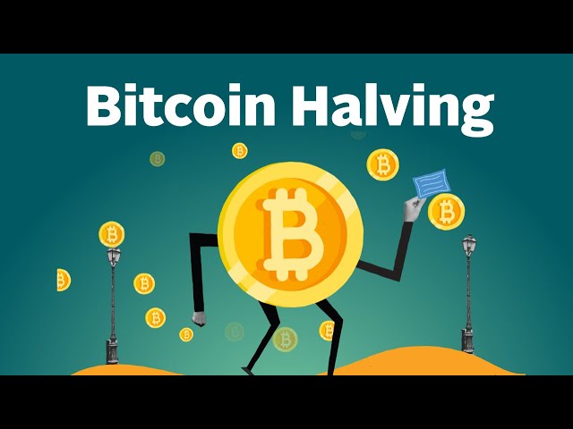 What is a Bitcoin Halving? Explained by CoinGecko