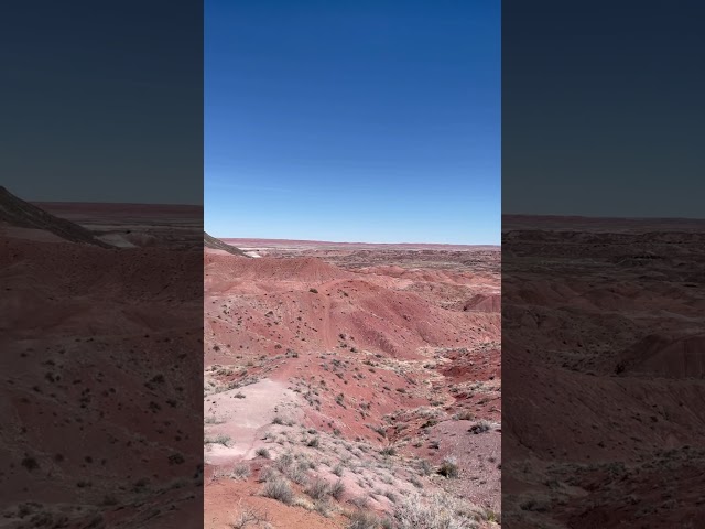 The Painted Desert looks like from outer space 🪐 #desert #space #arizona #youtubeshorts #shorts