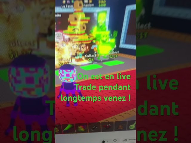Live trade fr @SoloSim