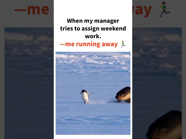 #viralvideo #ytshorts #memes #comedy #corporatelife