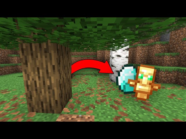 Minecraft but Block Drops are Random