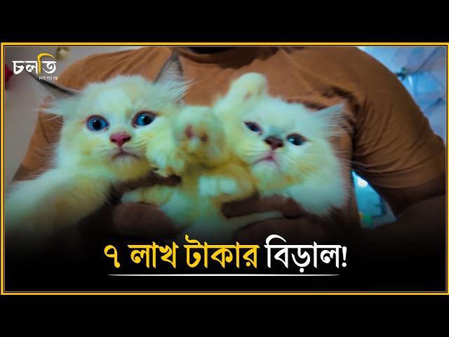 আমি মরলে ওদের কী হবে? || চলতি