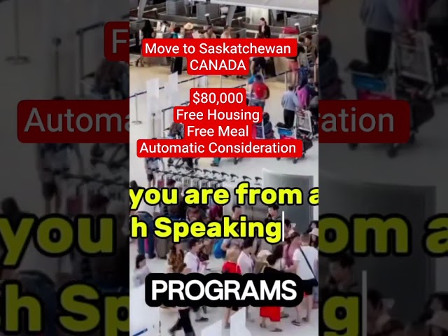 This Canadian University is Giving $80,000, Free Housing & Meal Allowance #short #shorts #shortfeed