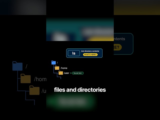 3 Essential Linux Navigation Commands for Beginners #linux #linuxtutorial #ubuntu