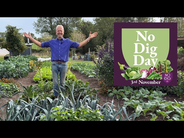 No Dig Day! | Celebrate No Dig Gardening | 3rd November