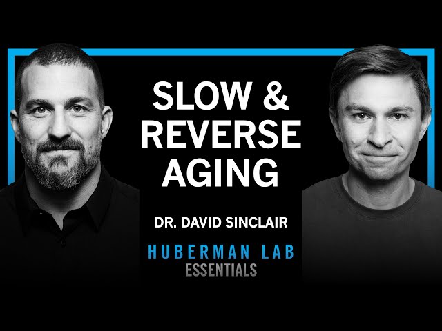 Essentials: The Biology of Slowing & Reversing Aging | Dr. David Sinclair