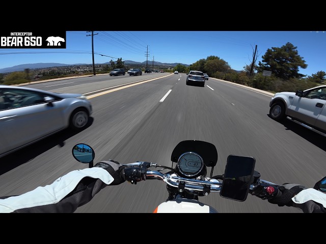 Royal Enfield Bear 650 - Interesting Vehicle Spotted