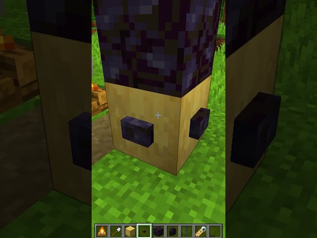 Minecraft Meme
