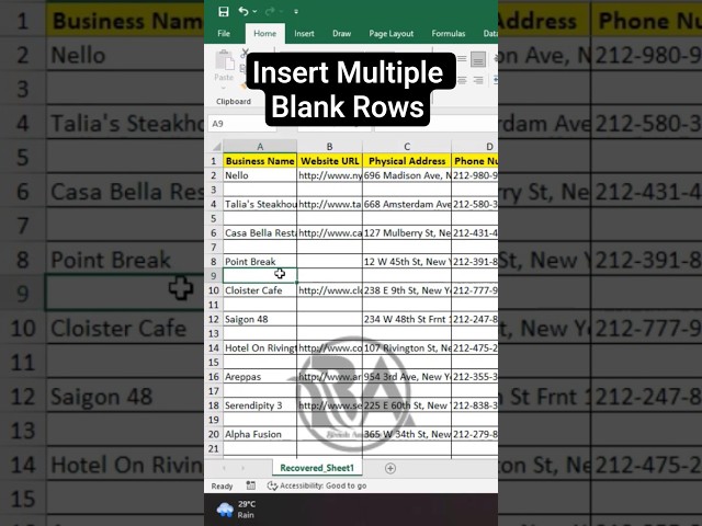 MS Excel - Insert Multiple Blank Rows ll Bivash Academy