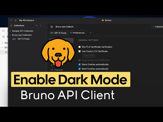 How to Enable Dark Mode in Bruno API Client