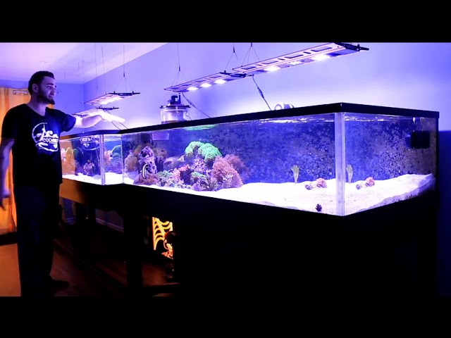 REEF TANK ADDICTION Season 2 Episode 2 ( 410 Gallon )