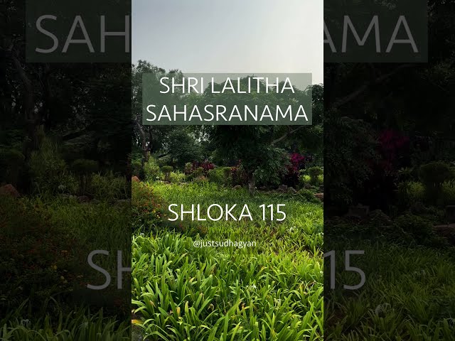 Shri Lalitha Sahasranamam Shloka 115 | Nityatrupta Bhaktanidhi  |Just Sudha Gyan