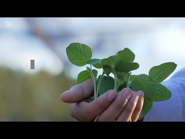 Selenium nanoparticles recruit good microbes and benefit metabolism against root rot in soybean