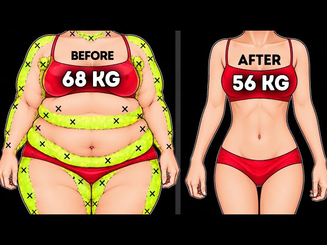 Full Body Weight Loss Workout | No Equipment Needed