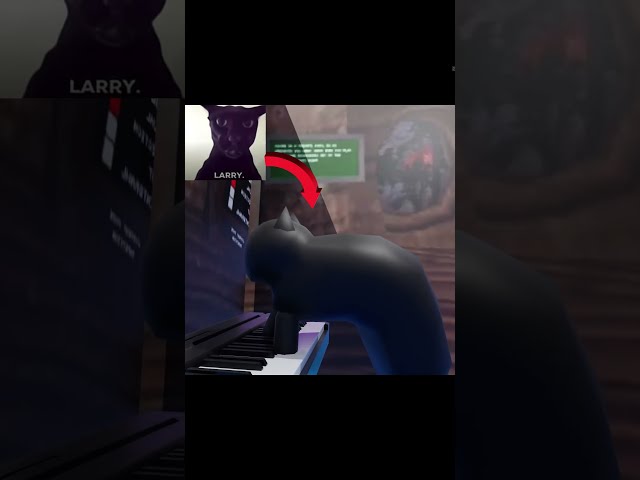 SUBSCRIBE FOR A CAT🐱🐱