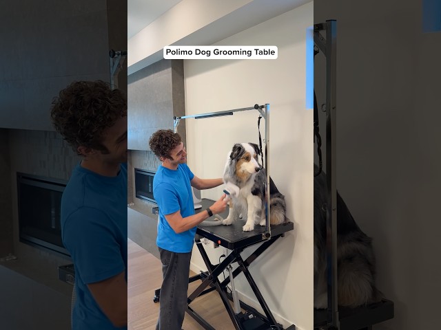 This Table LIFTS Your Dog To Easily Groom Them #dogs #pet