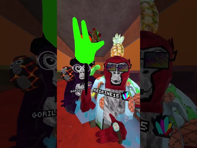 Nerf 😭 #gtag #gorillatag #vr #funny #meme #fyp #viral #subscribe #aabadge #gtagupdate #gtagvr