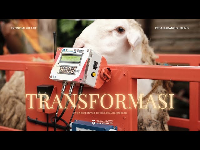 Integrasi Timbangan IOT Untuk Optimalisasi Produksi, Akurasi Data & Perluasan Pasar Pada Peternak