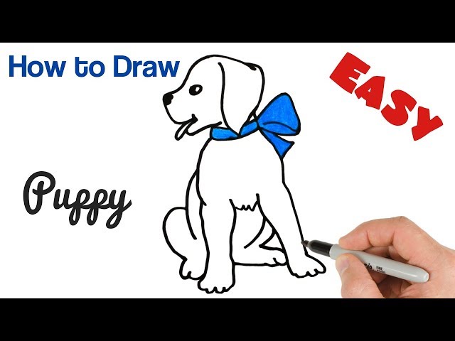 How to Draw Puppy Cute and Easy Drawing for beginners