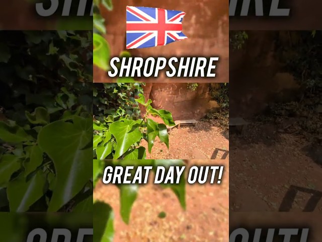 Hawkstone Park Follies #ukhiddengems #shropshire #shrewsbury #hawkstonepark #ukhikes #europetravel