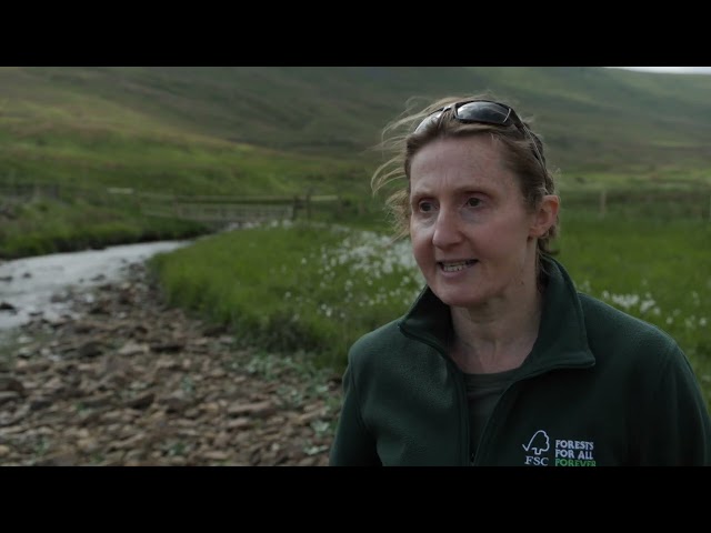 Snaizeholme: a big, bold boost for Northern nature