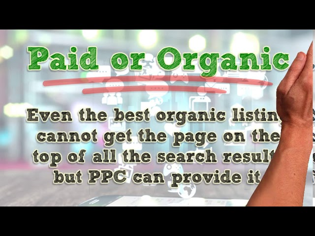 Search Engine Optimization