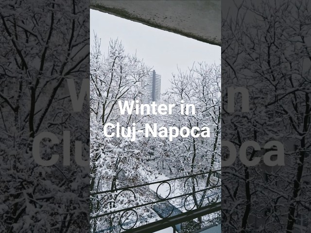 Winter came to Cluj-Napoca #winter2026 #cluj