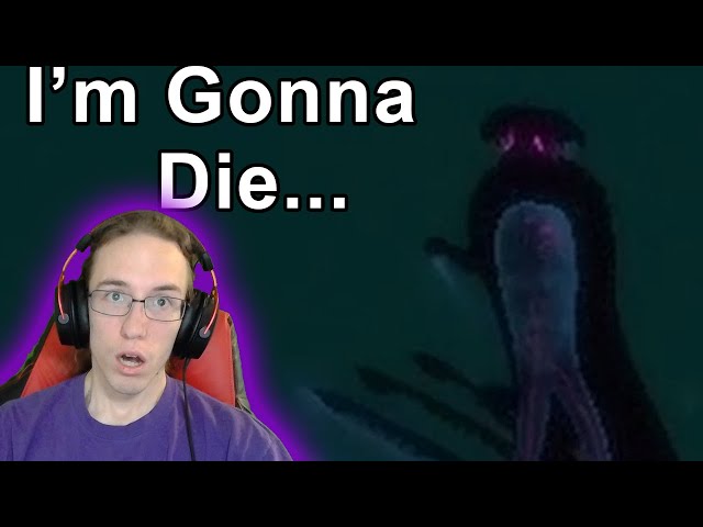 What The Hell is That!?!?! (Subnautica)