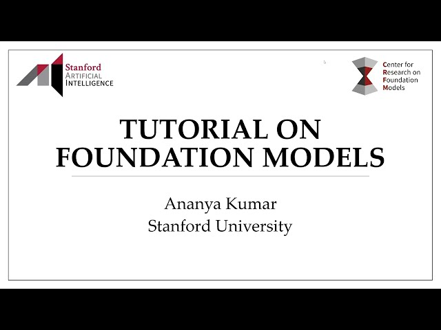 Foundation Models Tutorial, and Why Not to Fine Tune Them