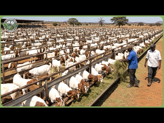South African Farming on Another Level – 55 Million Tons Harvested on Water Scarce Land