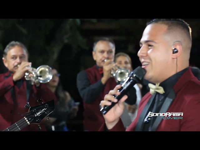 Classics Cover LOS PROFESIONALES