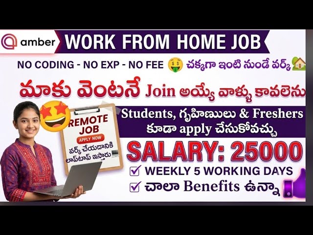 Latest jobs in amber Company 2026/any degree/freshers and experienced/morning shift 
