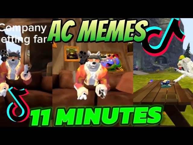 11 MINUTES OF SPIDERAFT VIDEOS