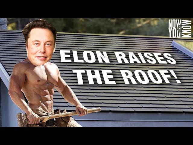 Elon Raises the Roof!